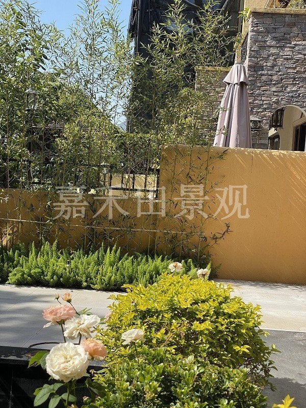 別墅花園的養(yǎng)護技巧包括哪些方面？