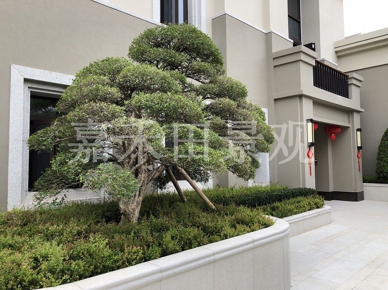 如何選擇專業(yè)的景觀設(shè)計(jì)師或施工隊(duì)伍？